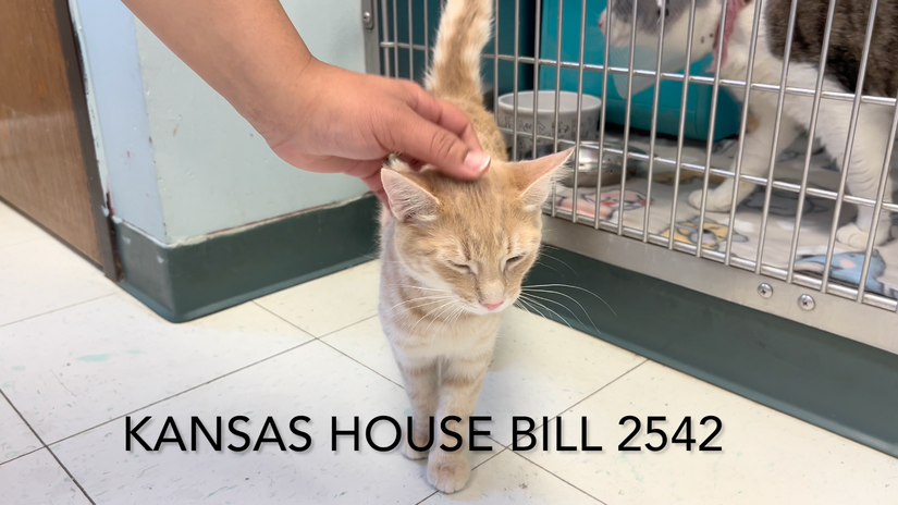 HSGKC Talks About Impact of Kansas House Bill 2542